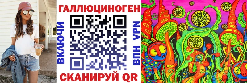 Купить где  Сураж  Галлюциногенные грибы мухоморы 