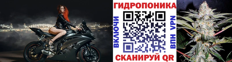 Бошки марихуана LSD WEED Сураж